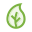 Leaf icon