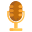 Voice Recorder icon