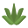 Aloe Vera icon