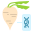 Sugar Beet icon