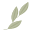 Leaves icon