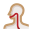 Throat icon