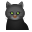 emoji-gatto-nero icon
