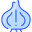 Cipolla icon