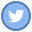 Twitter (丸型) icon
