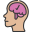 Brain icon