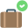 Accepted Luggage icon