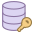 Data Encryption icon