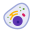 Eukaryotic Cells icon