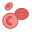 eritrociti icon