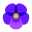 보라색 꽃 icon
