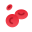 érythrocytes icon