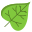 Catalpa Leaf icon