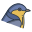 Swallow icon