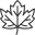 Maple icon