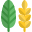 Decorative paddy leaf as a part of thanksgiving harvesting season icon