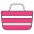 Women Bag icon