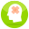 Brain Bandage icon
