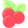 Cranberry icon