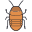 Madagascar-scarafaggio icon