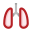 Lungs icon