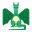 European Dragon icon