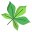 Horse Chestnut Leaf icon