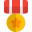 Star circle medal for the marine corps officers icon