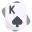6 King of Spades icon