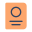 Reisepass icon