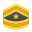 Сержант-майор Армии США icon
