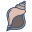 Conch Shell icon