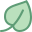 Leaf icon