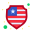 Usa Shield icon