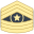 Command Sergeant Major CSM icon