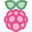 Raspberry Pi icon