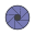 Aperture icon