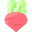 Beetroot icon