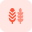 Decorative paddy leaf as a part of thanksgiving harvesting season icon