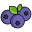 Blueberry icon