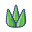 Aloe Vera icon