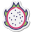 Dragon Fruit icon