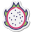 Fruit du dragon icon