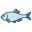 Japanese Bitterling Fish icon