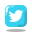 Twitter Squared icon