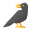 Full Body Crow icon