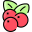 Cranberry icon