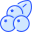 Голубика icon
