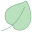 Leaf icon