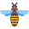 vista dall'alto dell'ape icon